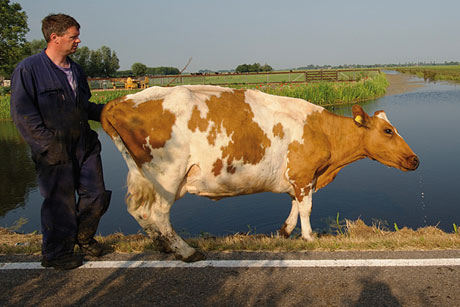 Tentoonstelling stadsmuseum Woerden: De andere boerderij